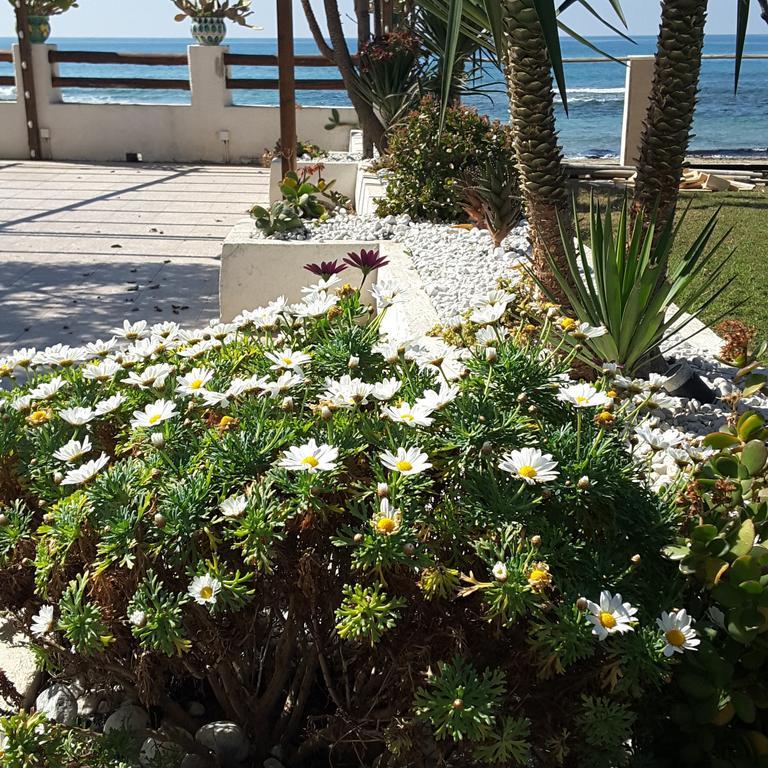 Hotel E Residence Il Faro Ачиароли Екстериор снимка